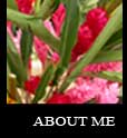 go to about me page