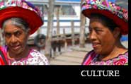 go to culture page