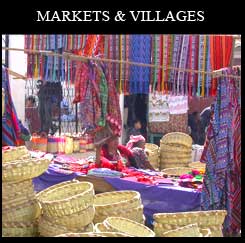 go to markets page