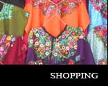 go to shopping page