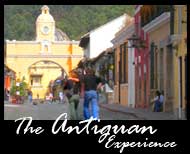 open antigua pop up